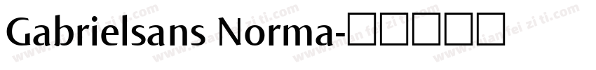 Gabrielsans Norma字体转换